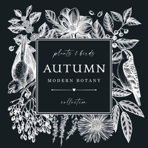 Hand sketched autumn design with birds. Elegant botanical square template with autumn leaves, berries, flowers and birds sketches on chalkboard. Perfect for invitation, cards, flyers, menu, labels.